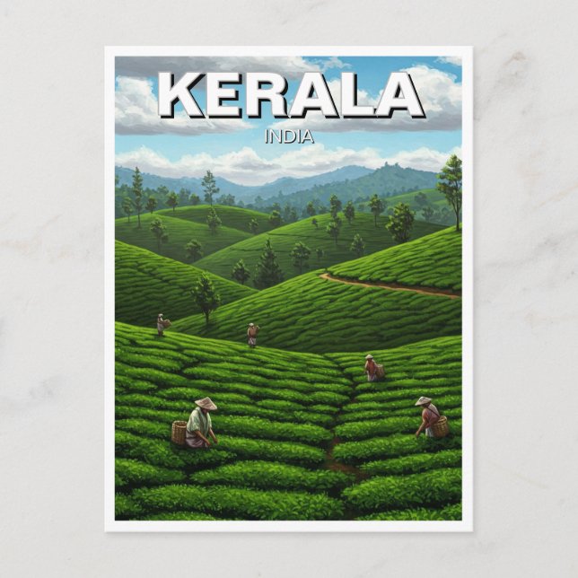 Kerala India Tea Plantation Vykort (Framsida)