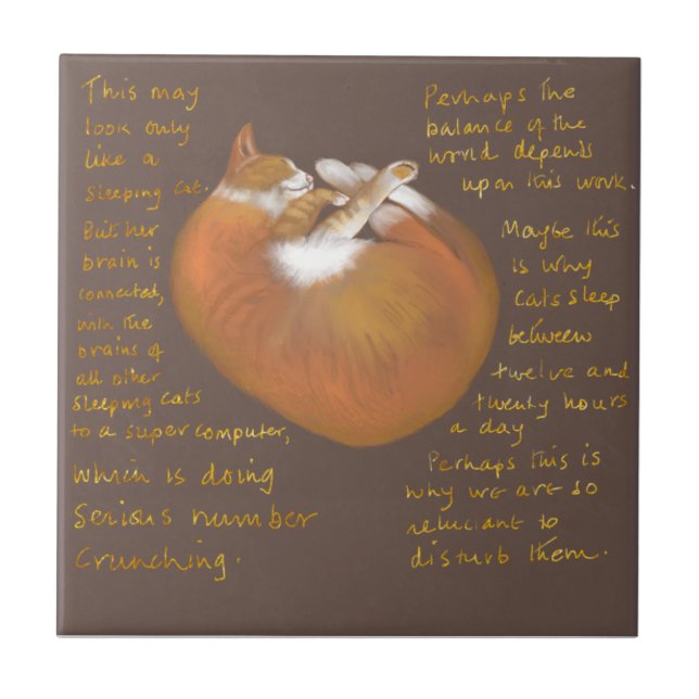 Keramisk bricka som visar sömnkatt kakelplatta (Framsidan)