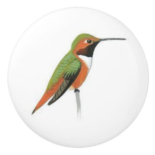 Keramisk dörrknopp med en Hummingbird Knopp