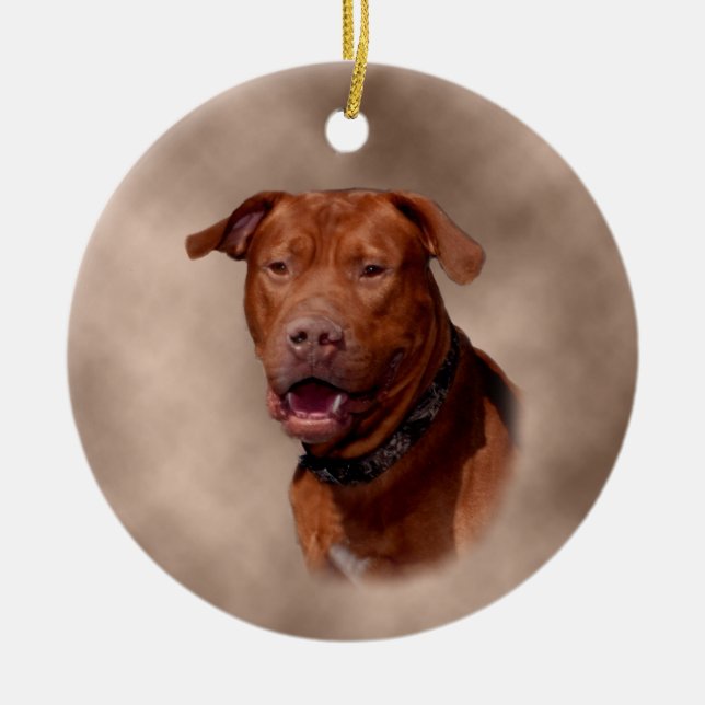 Keramisk julgranprydnad julgransprydnad keramik (Framsidan)