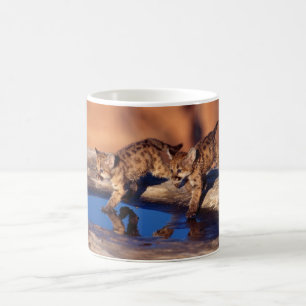 Keramisk kaffe Mugg-Cougar Unge Kaffemugg