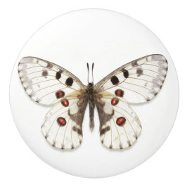 Keramisk Knapp - Vit, Brun & Orange Knopp