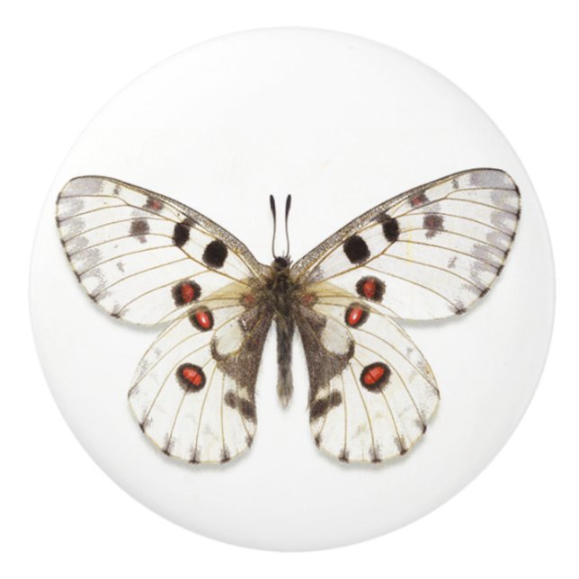 Keramisk Knapp - Vit, Brun & Orange Knopp (Framsidan)