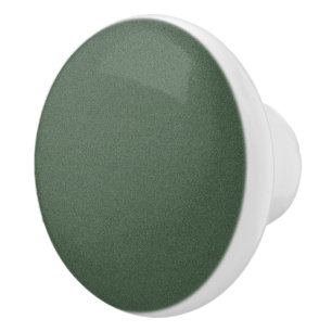 Keramisk knopp av texturerad Grönt för skåp