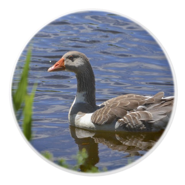 Keramisk knopp för anka (Framsidan)