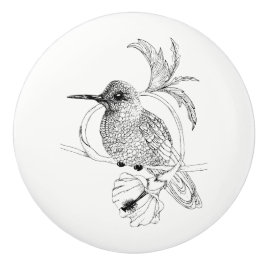 Keramisk knopp för Colibri fågelillustration