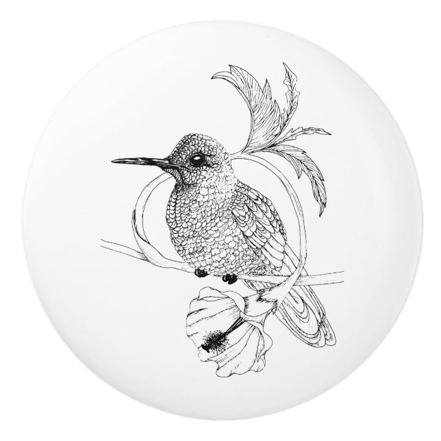 Keramisk knopp för Colibri fågelillustration (Framsidan)