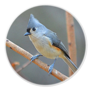 Keramisk knopp för fågel