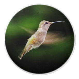 Keramisk knopp för Hummingbird