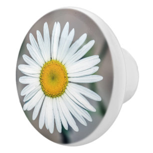 Keramisk knopp för singeldaisyblomma