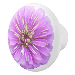 Keramisk låda/dörrdragning - Lilac Zinnia Knopp
