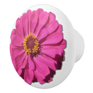 Keramisk låda/dörrdragning - Magenta Zinnia Knopp