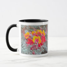 Keramisk Mugg med Desert Flower Red Bird of Paradi