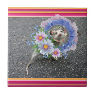 Keramisk platta Opossum Blommigt Rand Kakelplatta