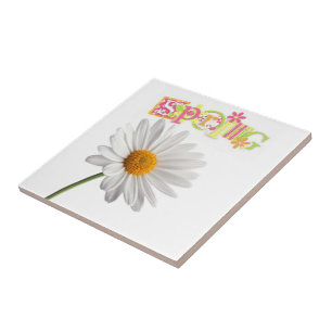 Keramisk plattor, vit Daisy, Blommigt Vår Kakelplatta
