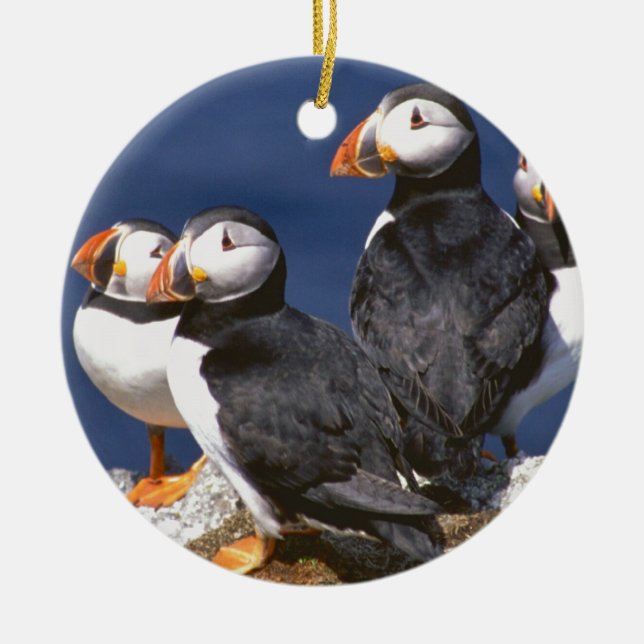 Keramisk prydnad för puffin-tastic julgransprydnad keramik (Framsidan)