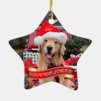 Keramisk prydnadsföremål julgransprydnad keramik