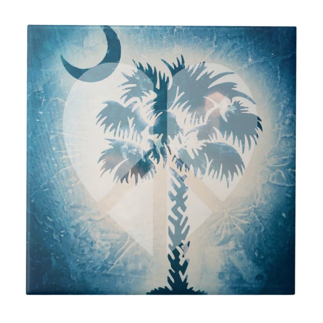 Keramisk SC-enhet belägger med tegel Kakelplatta (Framsidan)