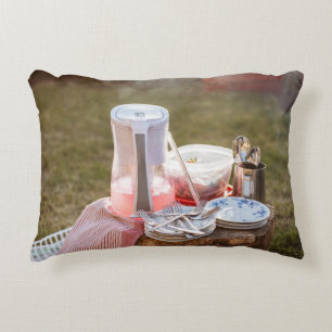 Keramisk tallrikar och pitcher av silver och blå b prydnadskudde