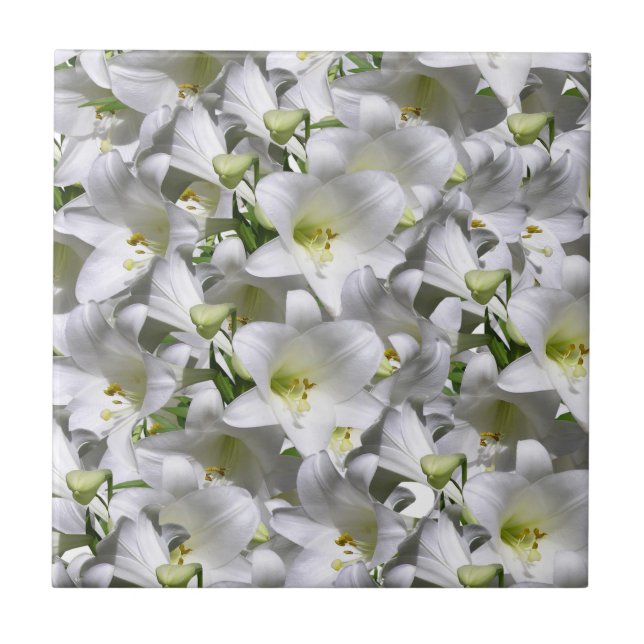 Keramisk Vit Blommig Platta Kakelplatta (Framsidan)