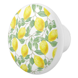 Keramiska kabinett Knopp-Citroner Knopp