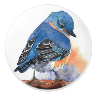 Keramiska knop - Watercolor Blue Bird Knopp