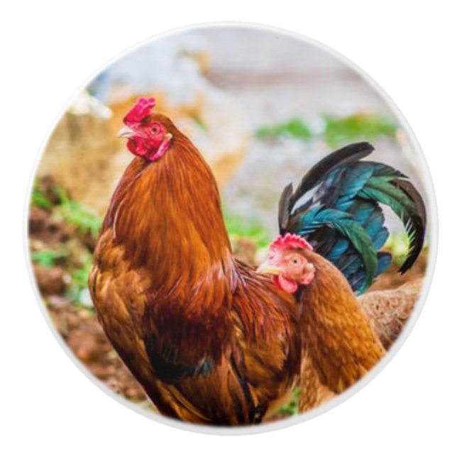 keramiska knoppar för tupp (Framsidan)