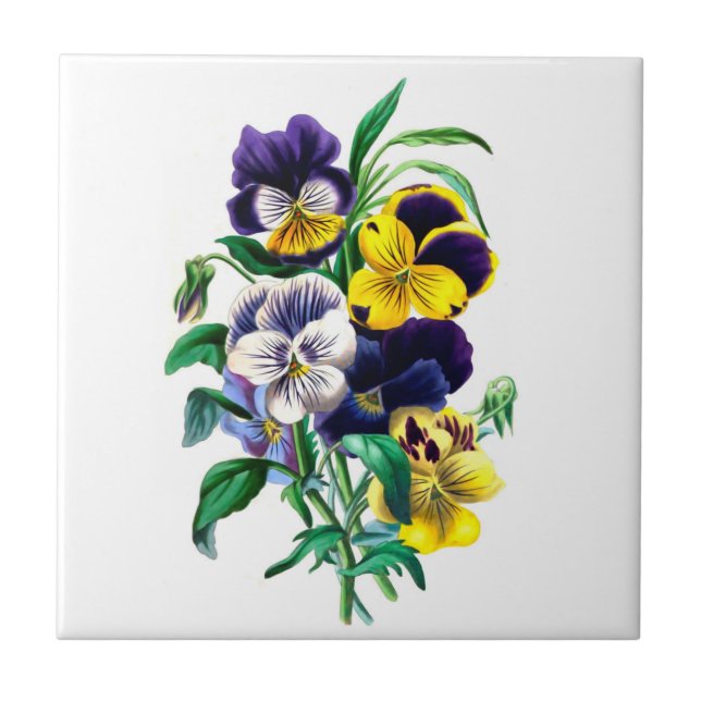 Keramiska Pansies belägger med tegel Kakelplatta (Framsidan)