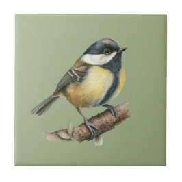 Keramiska plattan för kol i Nature Stil Kakelplatta