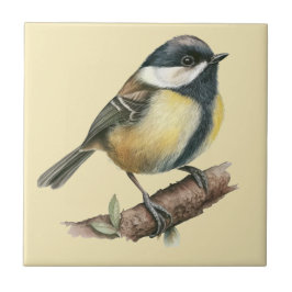 Keramiska plattan för kol i Nature Stil Kakelplatta