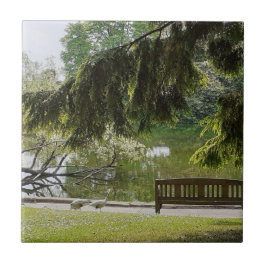 Keramiska plattan för prydnadsväxter i Anka Pond Kakelplatta