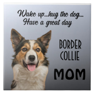 Keramiska plattan gräns Collie Mamma Kakelplatta