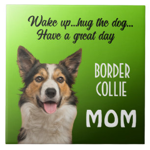 Keramiska plattan gräns Collie Mamma Kakelplatta
