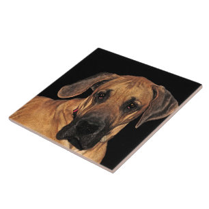 Keramiska plattan great dane kakelplatta