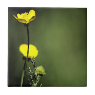 Keramiska plattan gula blommor kakelplatta