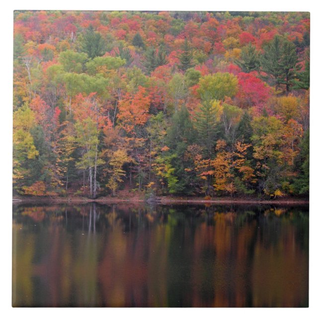 Keramiska plattan höst löv Fall Färg Scene Kakelplatta (Framsidan)