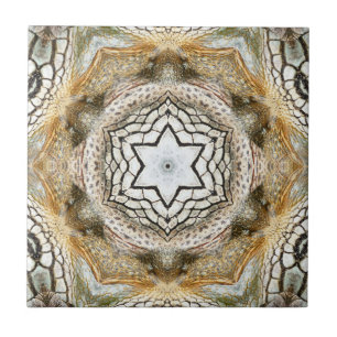 Keramiska plattan i guld Star Geometric Nature Kakelplatta
