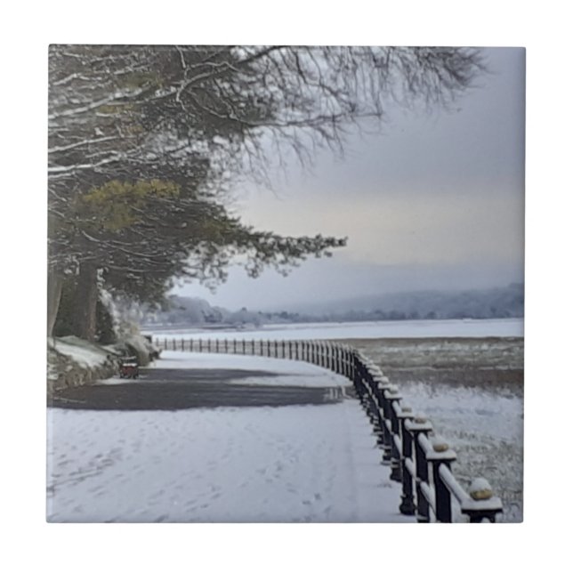 Keramiska plattan i vintermorgon kakelplatta (Framsidan)