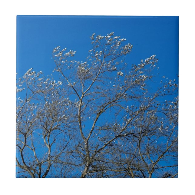 Keramiska plattan i vitpoppar Träd Kakelplatta (Framsidan)
