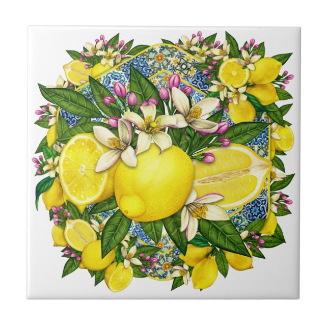 Keramiska plattan Mönster 6 vid Medelhavet Kakelplatta (Framsidan)