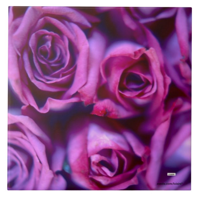 Keramiska plattan ro kakelplatta (Framsidan)