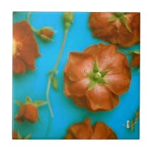 Keramiska plattan ro