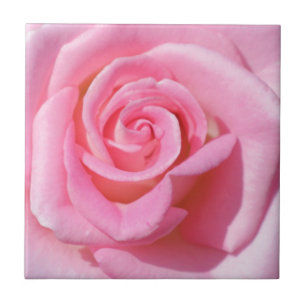 Keramiska plattan rosa ros kakelplatta