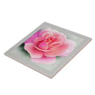 Keramiska plattan rosa ros kakelplatta