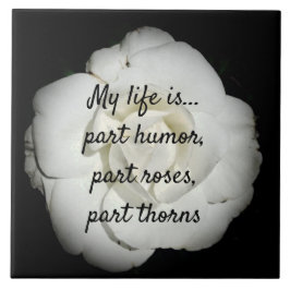 Keramiska plattan vit ros kakelplatta