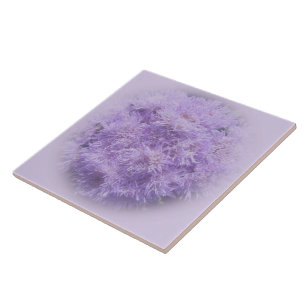 Keramiska plattor - Ageratum Kakelplatta