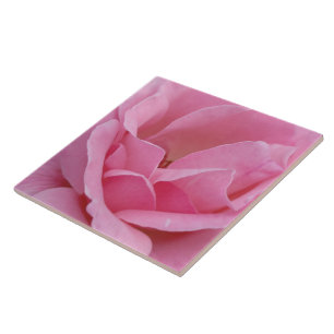 Keramiska plattor av rosa ros-blomma kakelplatta