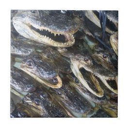 Keramiska plattor för generatorhuvud kakelplatta