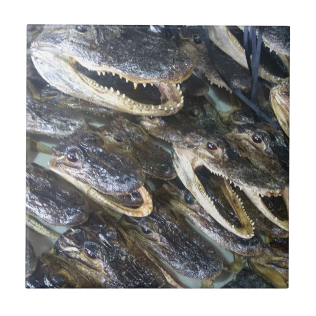 Keramiska plattor för generatorhuvud kakelplatta (Framsidan)