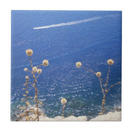 Keramiska plattor för grekisk blåhavsfisk kakelplatta